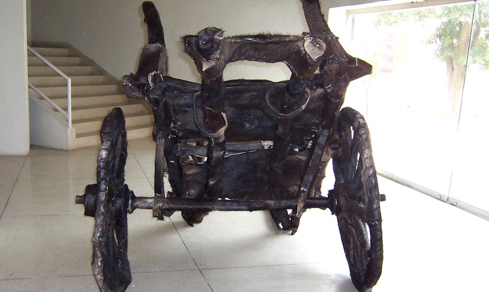 horse-cart-tanga-gallery-1